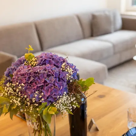 Apartmán Vechteliebe - In *